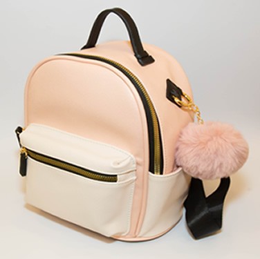 copy of Cartera Beiario...