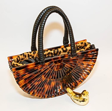 copy of Cartera Beiario...